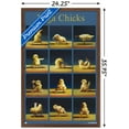 thumbnail image 3 of Lucia Heffernan Art - Yoga Chicks Wall Poster, 22.375" x 34" Framed, 3 of 6