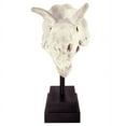 thumbnail image 2 of Design Toscano Triceratops Dinosaur Skull Fossil Statue on Museum Mount, 2 of 9