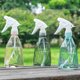 thumbnail image 4 of Spray Bottles 2 Pack Empty Plastic Spray Bottles, 4 of 4