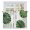 White, Green, Lime, variant on Tropical Leaves Kitchen Curtains 63 Inch Length, Summer Botanical Monstera Palm Leaf Tiers Curtains for Living Room Berdoom Bathroom, Light Filtering Drapes Window Treatment 2 Panels 42"Wx63"L