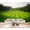 Color 1, variant on Wallpaper Golf Ball Green Hole Sunset Landscape Peel and Stick Wall Murals 100"H x 144"W Removable PVC Wall Paper Self-Adhesive Wall Paintings Art Decor for Bedroom Living Room
