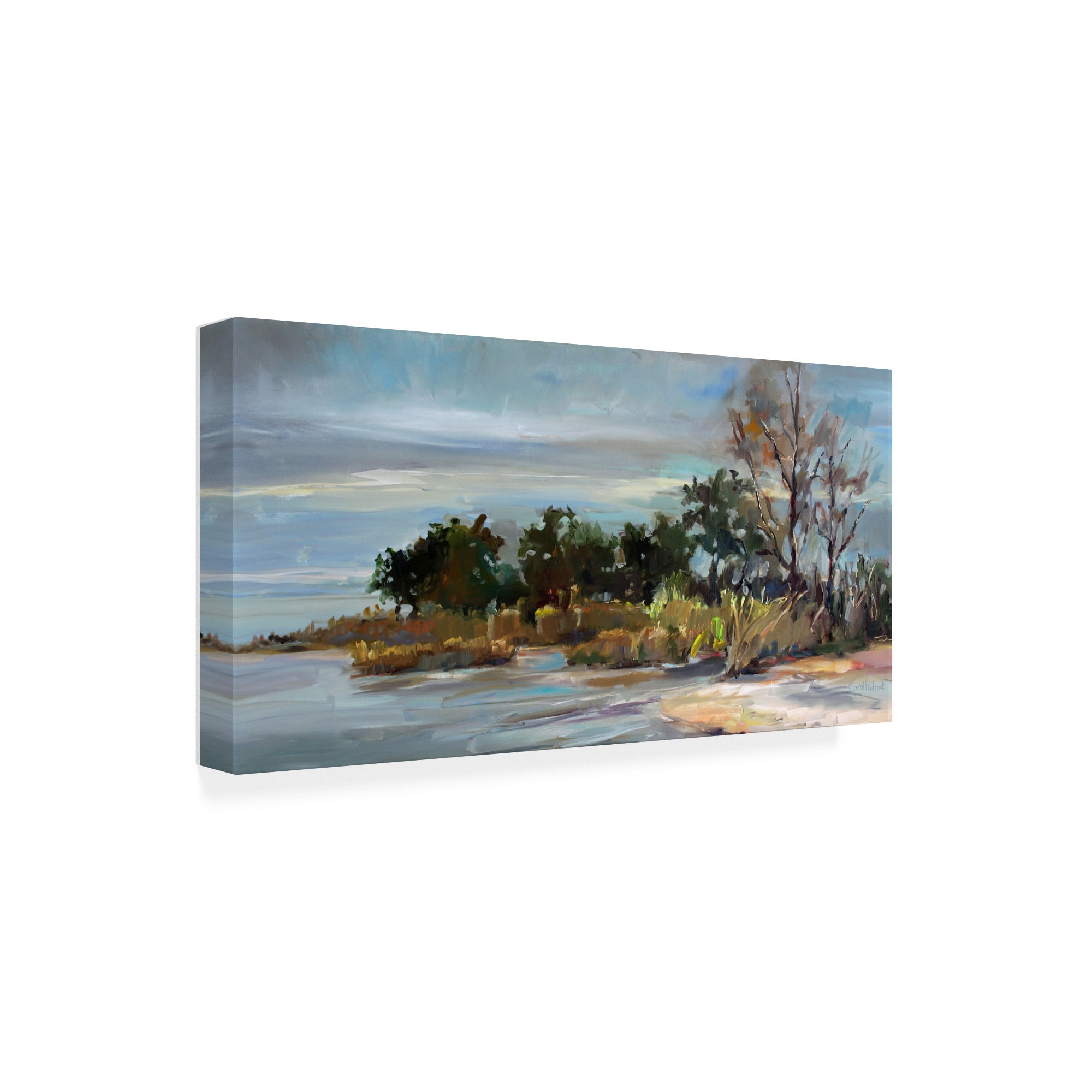 Trademark Fine Art 'Winter Beach' Canvas Art by Carol Halloc