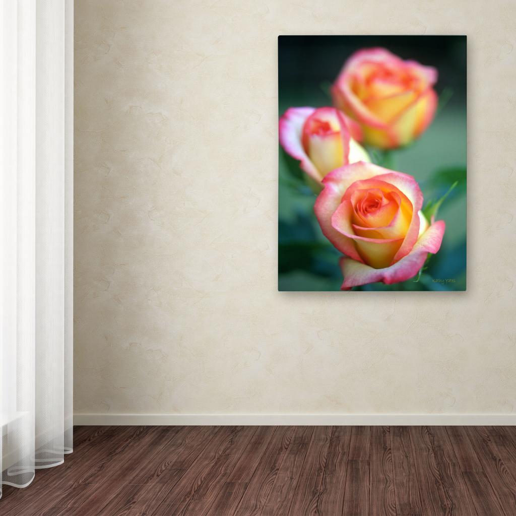 Trademark Fine Art "Rose Trio" Canvas Art by Kathy Yates