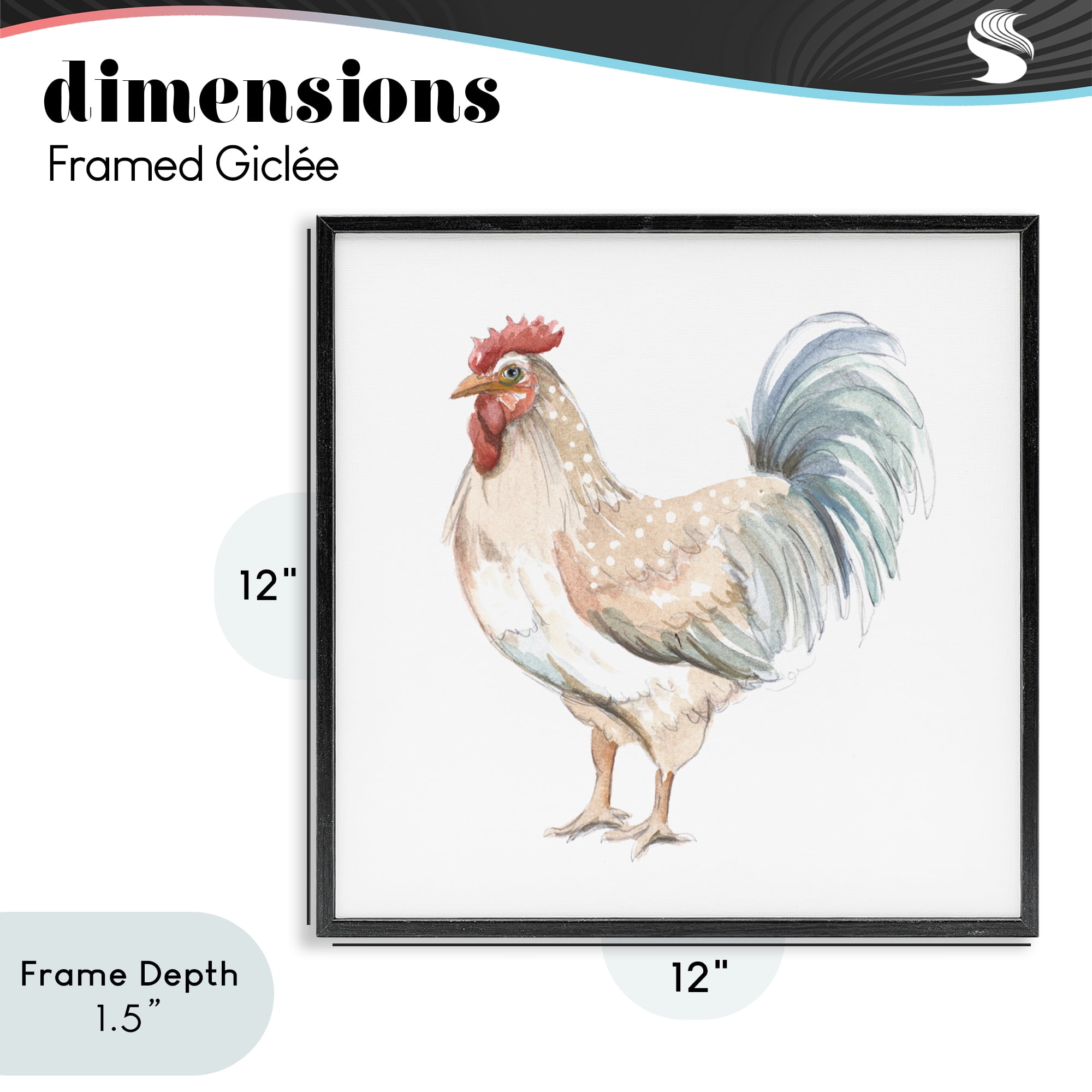 Stupell Industries Watercolor Rooster Sketch Black Framed Giclee Art, design by Patricia Pinto