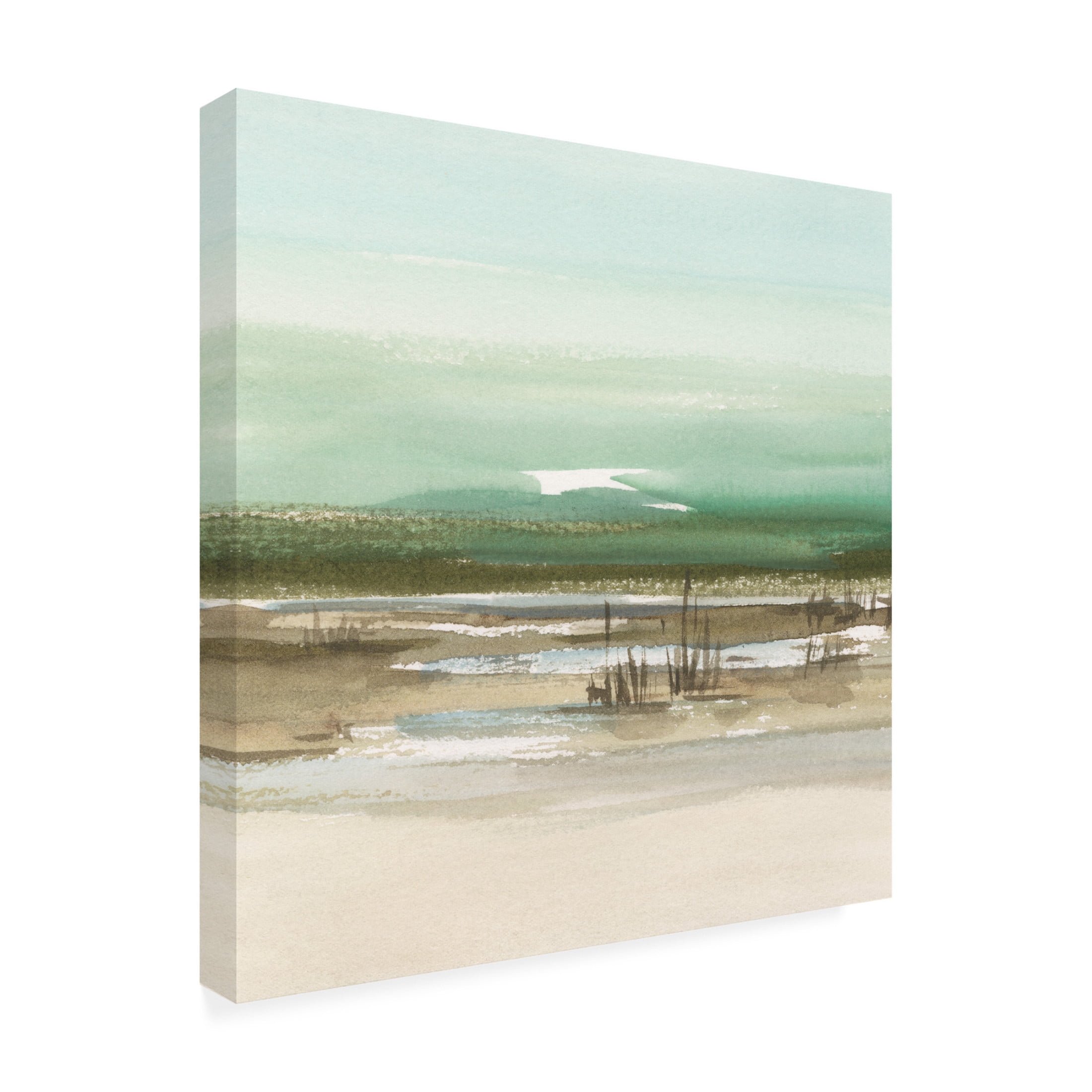 Trademark Fine Art Ethan Harper Sparkling Marsh I Canvas Wall Art