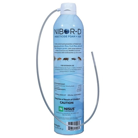 Nisus Corp Nibor D Insects Insecticide Foam, 21 fl oz