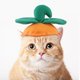 thumbnail image 4 of Xihbxyly Sombrero de Halloween para Mascota, Diseño de Calabaza Divertido, Tamaño Ajustable, Material de Felpa Cómodo, Perfecto para Disfraz de Perro, Ideal para Fotos Navideñas, 30 X 40 Cm, Embalaje, 4 of 7