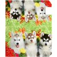 thumbnail image 4 of Coolnut Mailbox Covers, Magnetic Standard Size Group of Siberian Husky Puppy Dogs Seasonal Mail Wraps for Home Outdoor Decor, 20.7"x18.03", 4 of 5