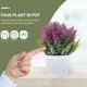 thumbnail image 4 of IDEANATEGRATE Planta Artificial En Maceta Simulación Lavanda Decorativa Para Interior Color Multi, 4 of 6