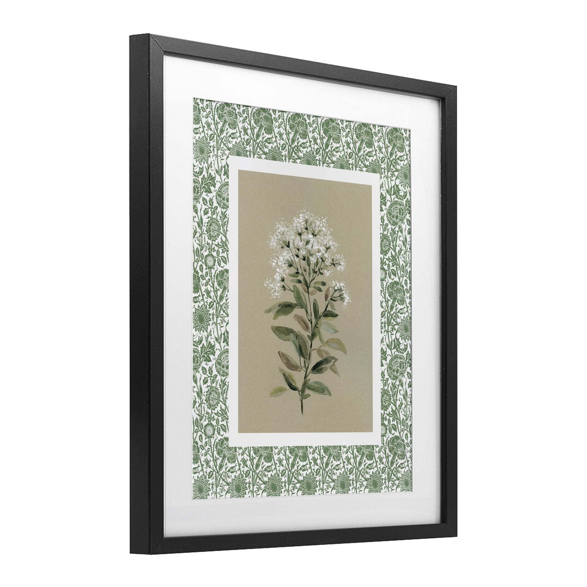 Stupell Industries Plant on Green Botanicals Black Framed Print Under Glass, design by Carol Robinson