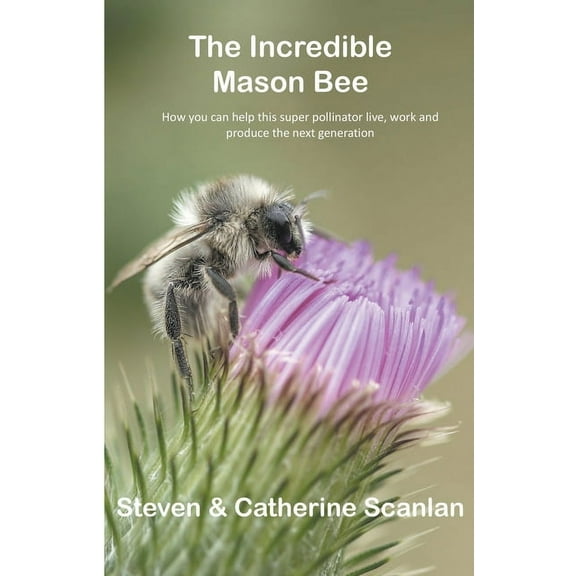 Mason Bee Incredible Mason Bee, Book 1, (Paperback)