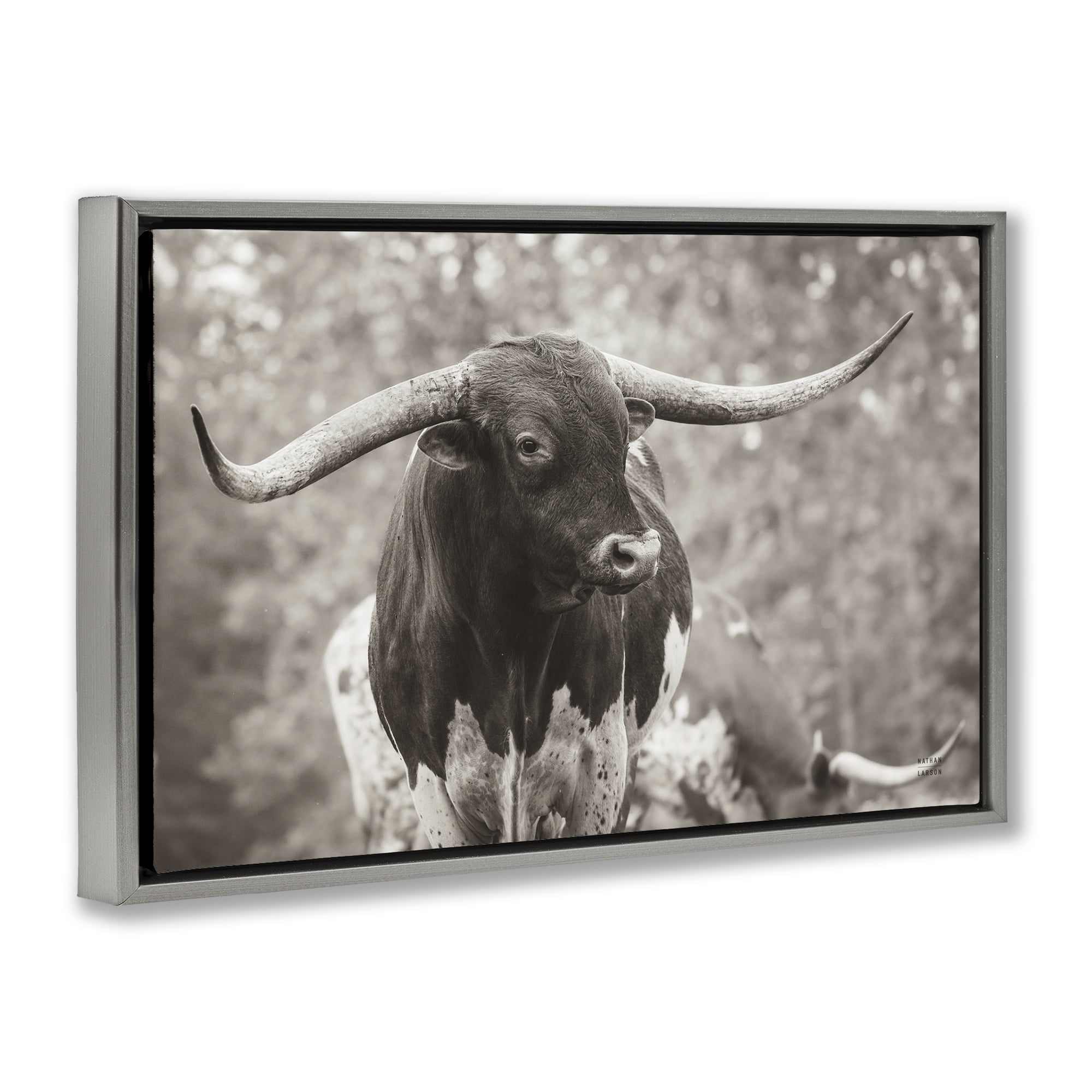 Stupell Industries Longhorn's Gaze Photography Animals Photography Gray Floater Framed Canvas Art Print Wall Art, 25 x 17