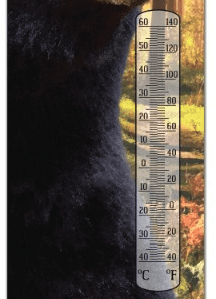 Thermometer Hanging Metal ~22 Gauge Metal Lithograph Print Measures 5" x 17" Indoors or Outdoors {Black Bear}
