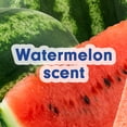thumbnail image 4 of Softsoap Limited Edition Liquid Hand Soap, Watermelon Scent, 50 fl oz Refill Bottle, 4 of 14