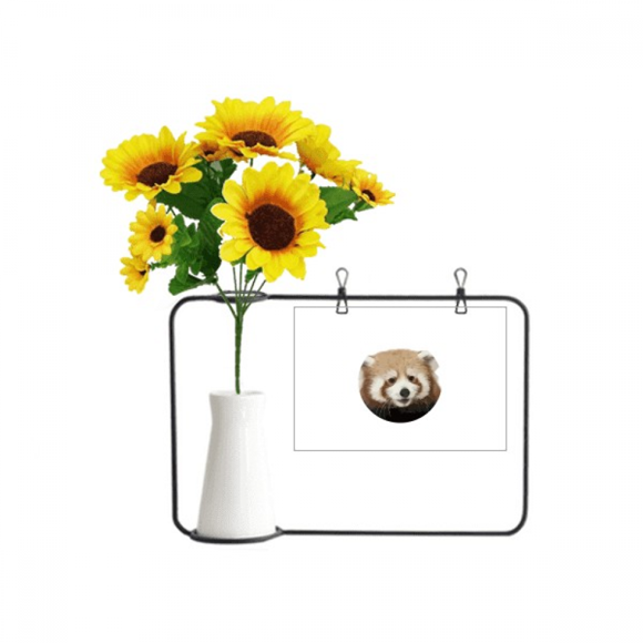 Brown Jungle Civet Cats Lovely Little Artificial Sunflower Vases Bottle Blessing Card
