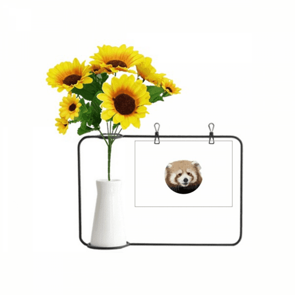 Brown Jungle Civet Cats Lovely Little Artificial Sunflower Vases Bottle Blessing Card