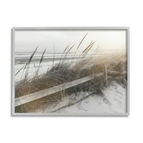 Stupell Industries Beach Reeds Photography Coastal Photography Gray Framed Art Print Wall Art