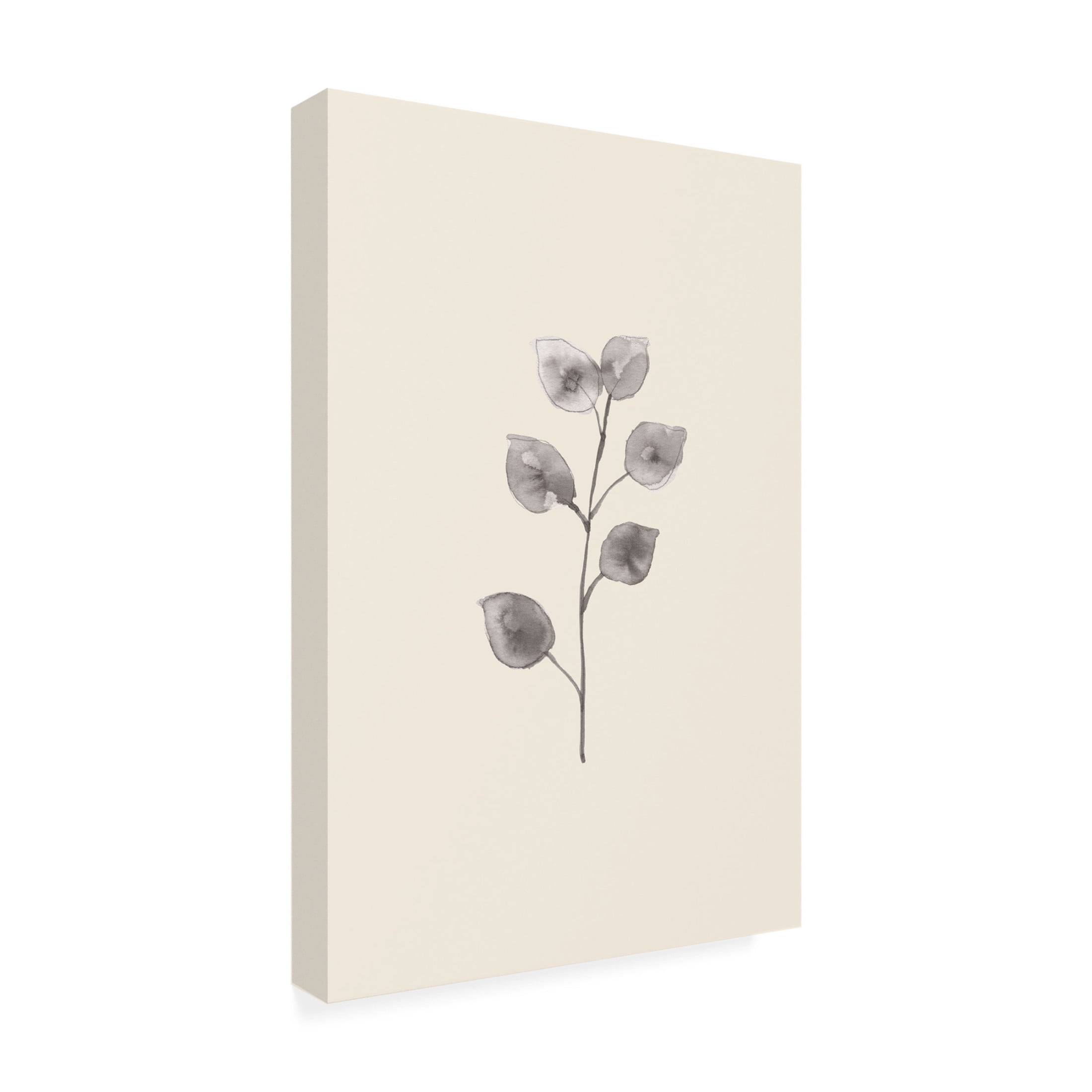Canvas Wall Art - Pictufy Studio 'Eucalyptus Twig' Wall Art for Living Room, Bedroom, or Office Décor by Trademark Fine Art - 12 x 19 Inches
