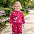 thumbnail image 2 of HCNTES Toddler Girls Clothes 18 24 Months 2T 3T 4T 5T Fall Winter Outfits Baby Kids Girls Long Sleeve Round Neck Flower Heart Print Sweatshirt Tops Long Pant Sets, 2 of 7