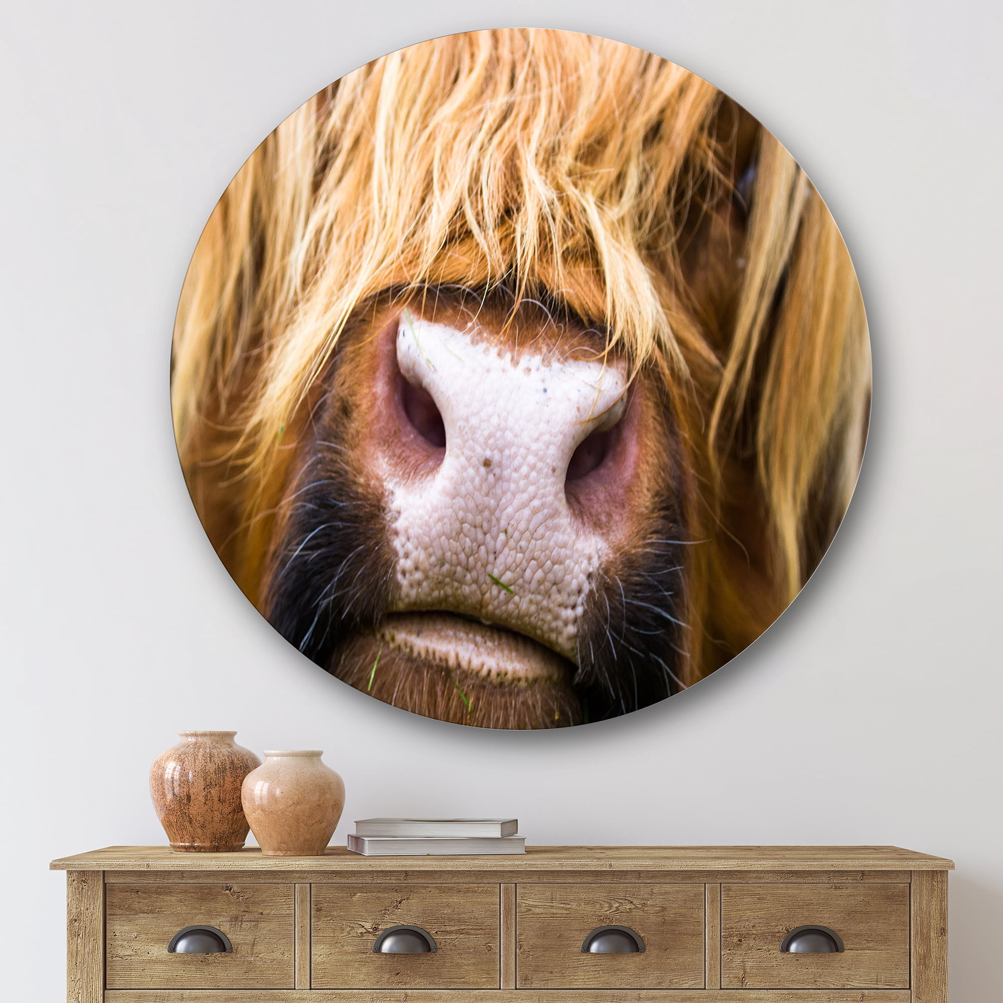 Designart 'Close-Up Highland Cattle' Farmhouse Circle Metal Wall Art 29x29 - Disc of 29