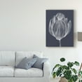 thumbnail image 3 of Trademark Fine Art 'Monochrome Tulip I' Canvas Art by Jennifer Goldberger, 3 of 4