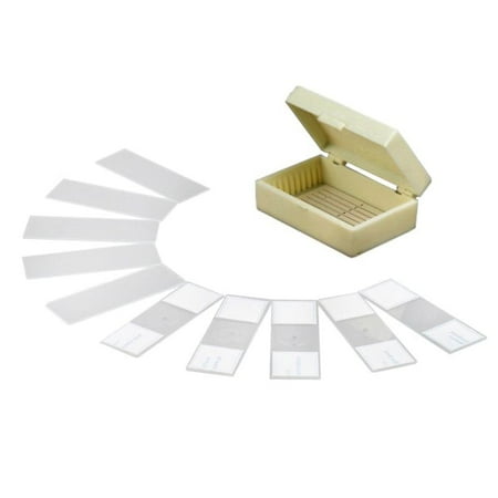 AmScope 10 Prepared and Blank Microscope Glass Slides