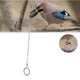 thumbnail image 2 of Arnés de entrenamiento para tobillera con cadena para pies de loros y pájaros de acero inoxidable (Agapornis), 2 of 10