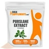 BulkSupplements Portulaca Oleracea Extract Powder - 500mg per Serving - 500 Grams (1.1 lbs) - 1000 Servings