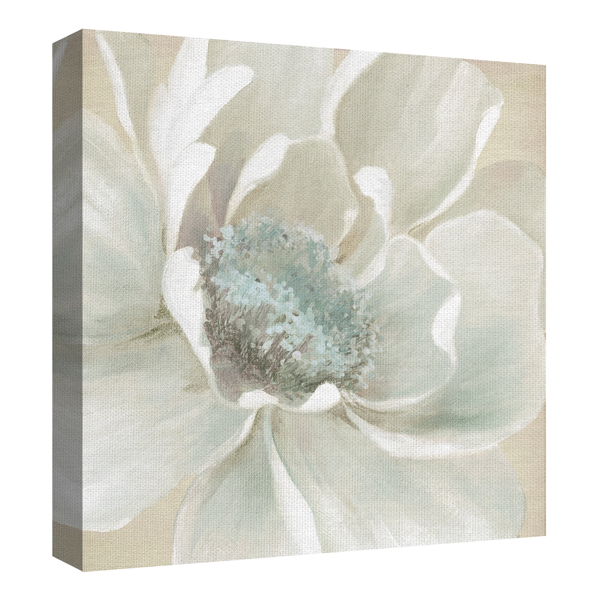 Winter Blooms I by Carol Robinson Wrapped Canvas Painting Art Print