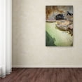 thumbnail image 3 of Trademark Fine Art "Dive Break" Canvas Art by Yale Gurney, 3 of 3