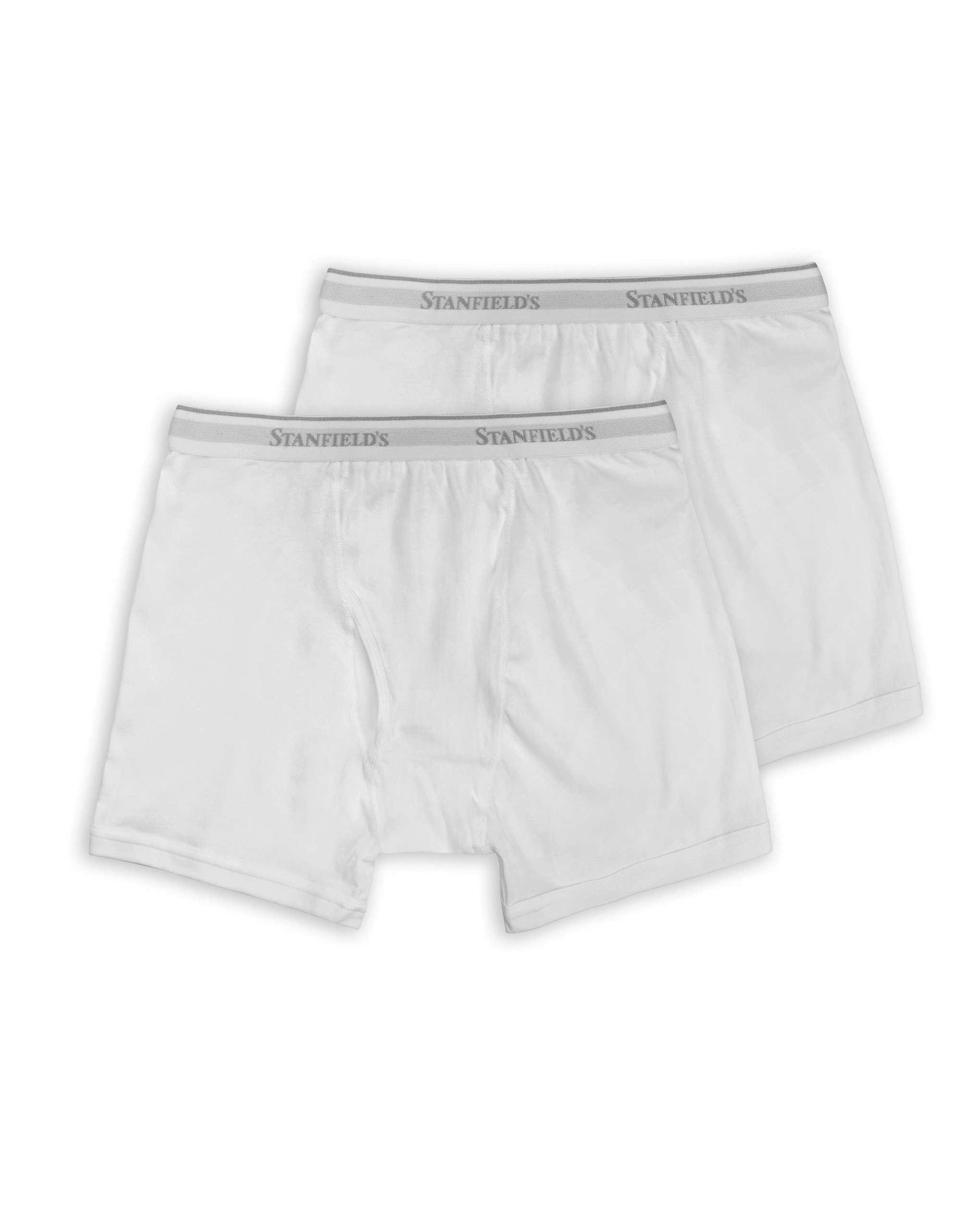 Stanfield's 2-Pack Adult Mens Premium Cotton Boxer Briefs, Szes S-XL