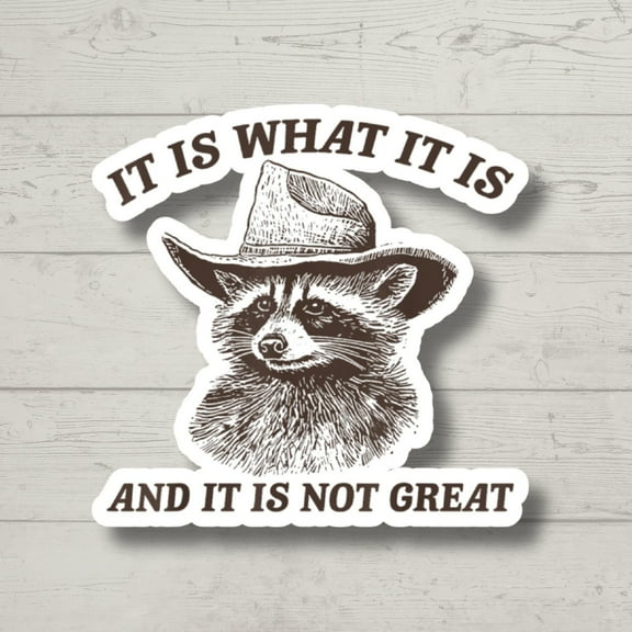 It Is What it Is Sticker, Funny Raccoon, Sticker for Laptop, water bottle sticker, kindle stickers, sarcastic sticker, funny stickers (3x3inches)