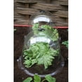 thumbnail image 4 of Tierra Garden Haxnicks 15 in x 12 in Plastic Plant Cover with Air Vents 2 Pack, 4 of 5