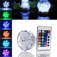 thumbnail image 2 of Yuarrent Estimulador de la lengua del vibrador del clítoris con 12 modos de Vibrador recargable por USB a prueba de agua Juguete sexual para Iluminación navideña Yuarrent HA021350-00, 2 of 6