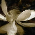 thumbnail image 2 of Bay, Noah 26x26 White Modern Wood Framed Museum Art Print Titled - Bronze Lily VI, 2 of 4