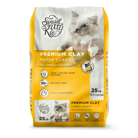Special Kitty Premium Clay Cat Litter, Fresh Scent, 25