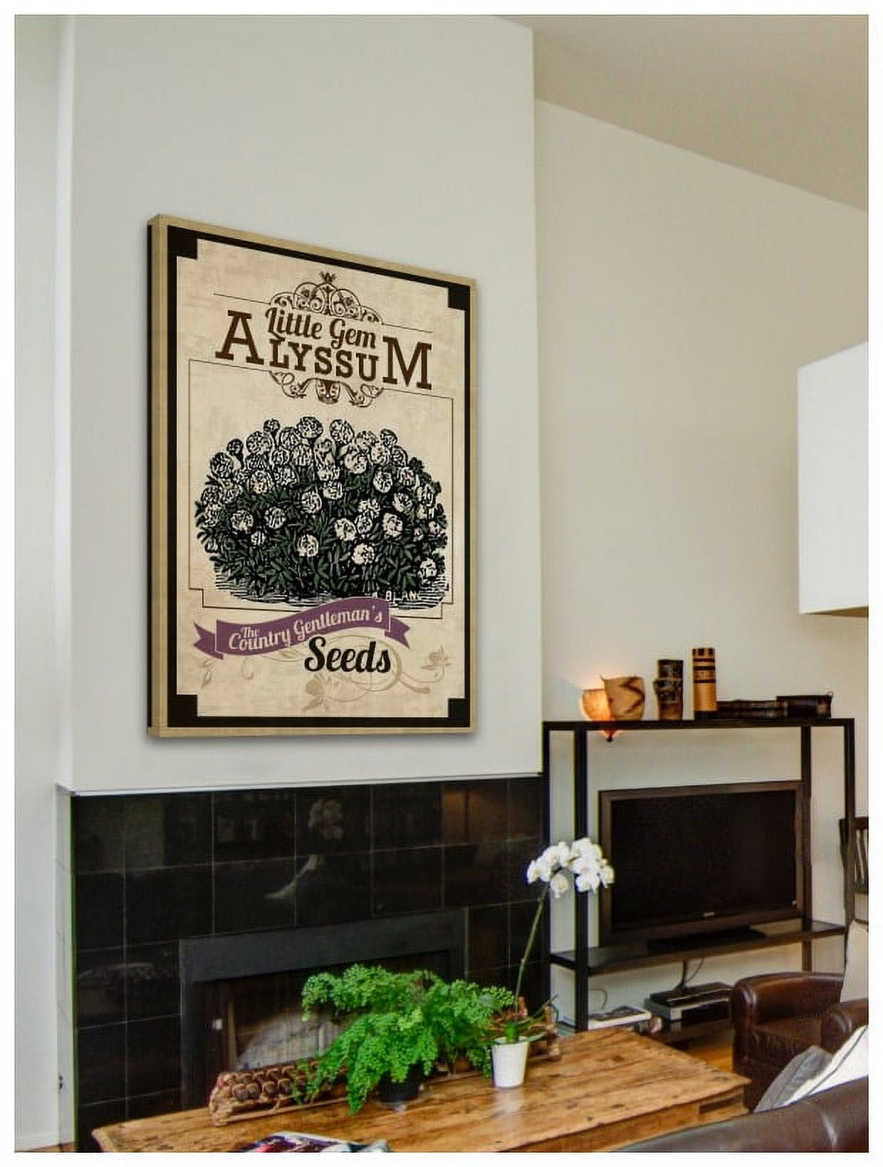 Marmont Hill "Flower Packet Alyssum" Painting Print on Canvas