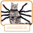 thumbnail image 3 of SKISUNO 46Set Spider Costume for Dogs Black Adjustable for Pets at, 3 of 8