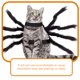 thumbnail image 3 of Disfraz de Halloween para mascotas, disfraz de araña para perro, arnés de araña para perro, disfraz de perro, 3 of 8