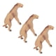 thumbnail image 4 of Figuras de animales ANGGREK Moropus Aprendizaje Simulación Realista PVC Para Niños Mayores de 3 años, 4 of 8