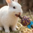 thumbnail image 5 of Natural Timothy Hay Grass Balls with Flower Petals, Lollipop Shape Small Animal Chew Toys for Rabbits, Hamsters, Guinea Pigs, Dental Teeth Grinding Accessory, 5 of 6