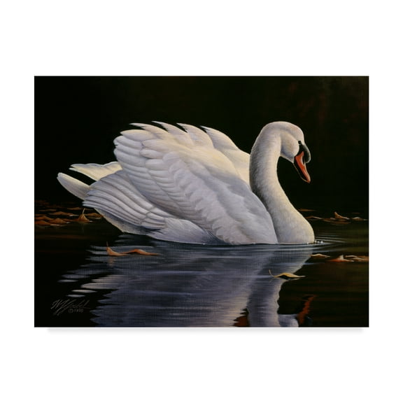 Trademark Fine Art 'Reflection Mute Swan' Canvas Art by Wilhelm Goebel