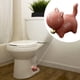 thumbnail image 5 of Toilet Caps Toilet Caps Toilet Caps Decorative Ceramic Toilet Covers Toilet Caps Animals, 5 of 5