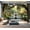 Color4, variant on Peel and Stick Wallpaper Waterproof Red chili peppers shot from above rustic wooden table Wall Mural Decor Self Adhesive and Removable 69in x 98in