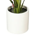 thumbnail image 3 of Vickerman 19" Rattlesnake Calathea Lancifolia in White Ceramic Pot., 3 of 3
