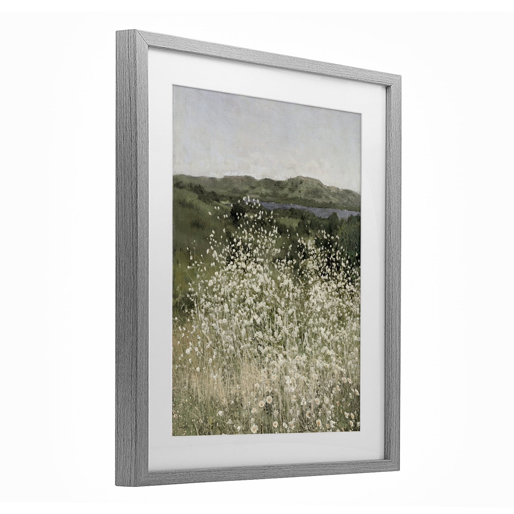 Stupell Industries Sunlit Meadow of White Daisies Gray Framed Print Under Glass, design by Amber Sterling