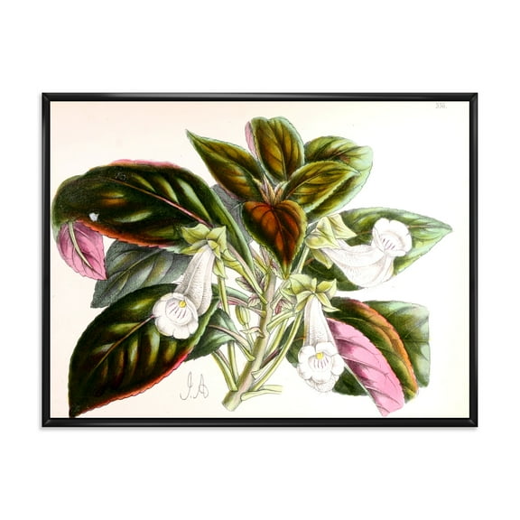 Designart 'Blossoming Vintage Flower V' Traditional Framed Canvas Wall Art Print
