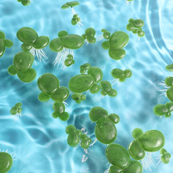 QUMIIRITY 6Pqt Para Pecera Flotantes Artificiales Simulación Natural