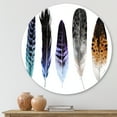 thumbnail image 2 of Designart 'Colourful Boho Art Feathers II' Bohemian & Eclectic Circle Metal Wall Art 11x11 - Disc of 11, 2 of 5