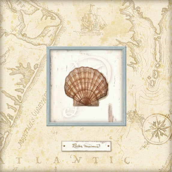 Tile Mural Kitchen Backsplash - CA-Sea Treasure II - by Charlene Audrey